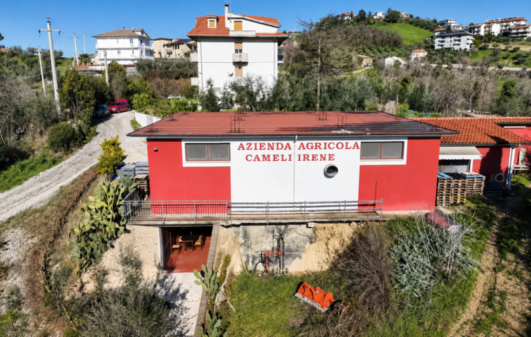 Cameli Irene