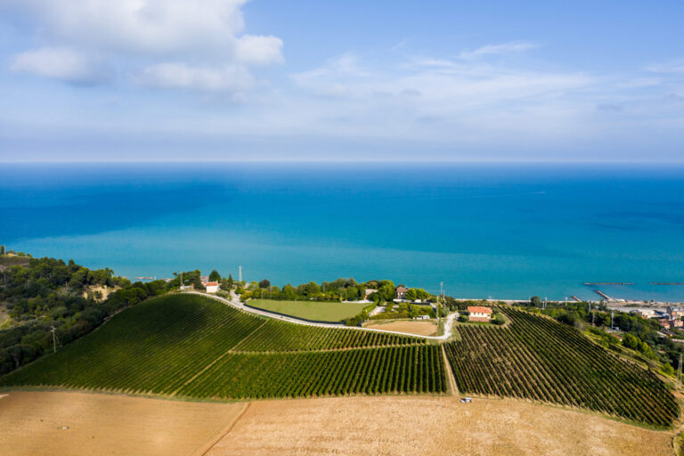 DJI_0605