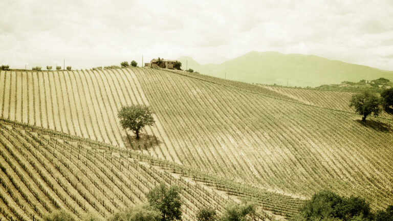 Sequenza-03