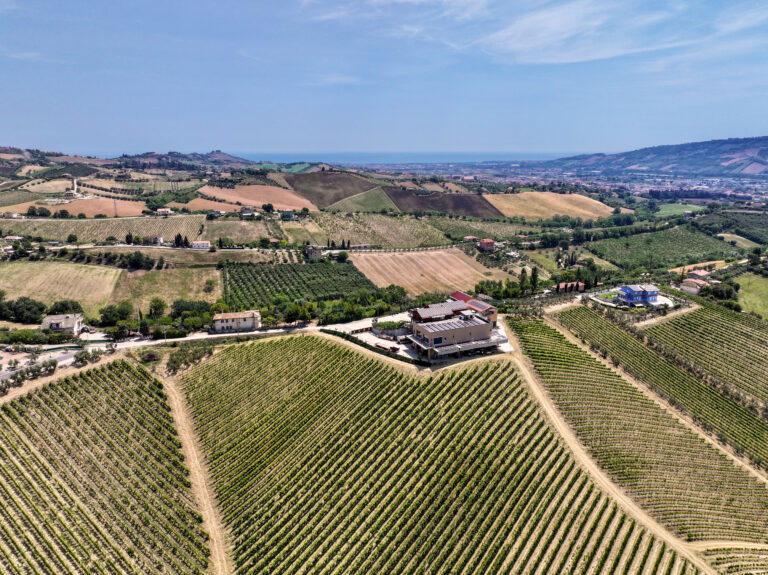 azienda vista mare