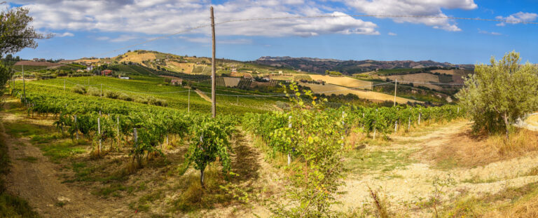 DSC_7578-Pano-Modifica
