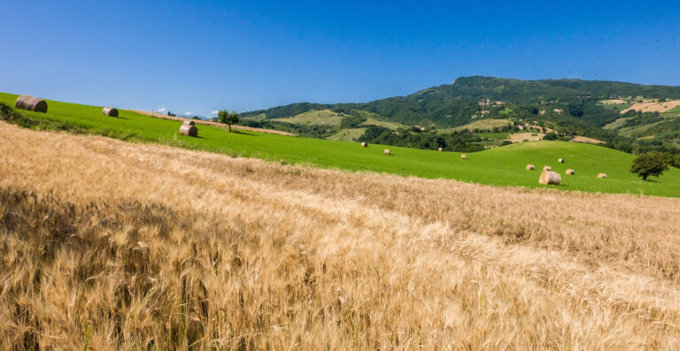 Cantina di Castignano -cs luglio 2026